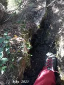 Avenc del Nen - Miniatura 2, Figuera, La