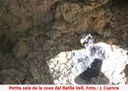 Cova del Batlle Vell - Miniatura 1, Pontons