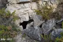 Avenc Nou - Miniatura 1, Querol