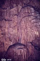 Avenc d'en Roca - Thumbnail 6, Cervelló