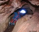 Cova-avenc del Mas d'en Toni - Miniatura 3, Mont-ral