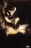 Avenc d'en Parrilla - Miniatura 4, Olesa de Bonesvalls