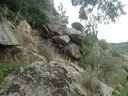 Cau de les Guilles - Miniatura 1, Roses