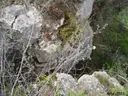 Avenc de la Roca del Migdia Nº1 - Miniatura 3, Febró, La