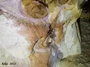 Avenc de la Rendisclera - Miniatura 9, Camarasa