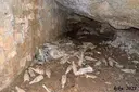 Balma dels Foresos - صورة مصغرة 7, Vimbodí i Poblet