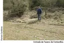 Avenc de Fontanilles - Miniatura 1, Collsuspina