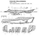 Cova de la Font de l'esllavissada - Miniatura 1, Bruc, El