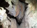 Avenc del Bosc - Miniatur 10, Tivenys