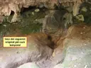 Bora Foradada - Miniatura 3, Montagut i Oix