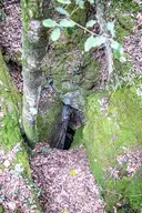 Cova de les Guilloteres - Thumbnail 2, Amer