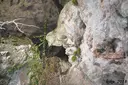 Cova del Grèvol - 缩略图 4, Capafonts