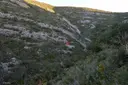 Avenc de Julio de la Sista - Miniatura 1, Ulldecona
