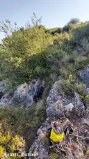 Avenc dels Castellets - Miniatura 1, Ulldecona