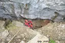 Avenc Gran de Feliu - Miniatura 2, Mont-ral