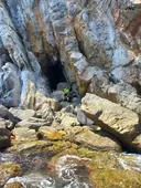 Cova de Ses Vaques - Miniatura 1, Begur