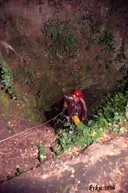 Avenc de la Carbonera - 缩略图 2, Castellar del Vallès
