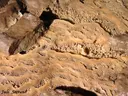 Avenc del Racó d'en Juny - Miniatura 11, Tivissa