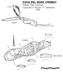 Cova del Bosc Cremat - Miniatura 1, Pallejà
