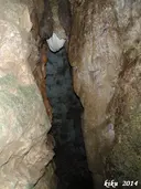 Grallera Petita d'Alsamora - Thumbnail 4, Sant Esteve de la Sarga