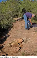 Avencs de la Desfeta - Miniatura 3, Gavà