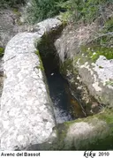 Cova del Toll - Miniatura 26, Moià
