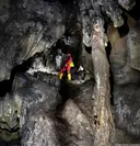 Cova dels Muricecs - Miniatura 14, Llimiana