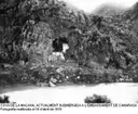 Forat de l'Obaga de la Maçana - Miniatura 14, Camarasa