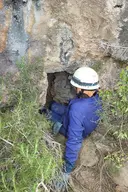 Cova dels Costers - Miniatura 2, Montmell, El