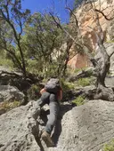Forat de la Faixa de Roca Roja - Miniatura 3, Mas de Barberans
