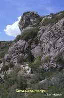 Cova Cassimanya - Thumbnail 1, Begues