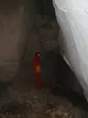 Cova Gran - Miniatura 3, Arbolí