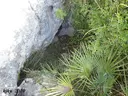 Avenc dels Pelagons - Thumbnail 2, Avinyonet del Penedès