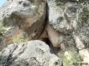 Cova de les Costes - Miniatura 2, Vilanova de Meià