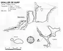 Graller de Gurp - Miniatura 1, Tremp