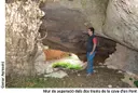 Cova d'en Pont - Thumbnail 3, Juncosa