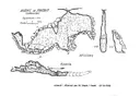 Avenc de Pratdip - Thumbnail 2, Pratdip