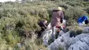 Avenc de la Cabana de la Bena - Miniatura 3, Begues