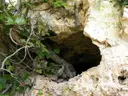 Cova Bonica - Miniatura 4, Alcanar