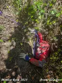 Sistema dels Guixos - Miniatura 8, Corbera de Llobregat