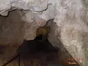 Cova del Reclau Viver - صورة مصغرة 6, Serinyà