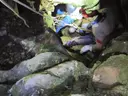 Avenc dels Científics - Miniatura 4, Arnes