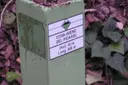 Cova-avenc del Picarol - Thumbnail 1, Mura