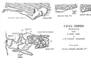 Cova Freda - Thumbnail 2, Collbató