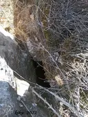 Forat Roig - Miniatura 2, Oliola