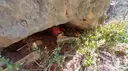 Cova Perdigones Iv - Thumbnail 1, Llacuna, La