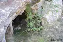 Mina Inferior de la Canal - Miniatura 4, Tremp