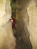 Cova Petita d'en Rubí - Miniatura 2, Tortosa