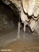 Grallera Gran del Corralot - Thumbnail 13, Sant Esteve de la Sarga