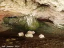 Forat de l'Olini - Thumbnail 7, Cabó